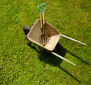 Lawn Maintenance Manassas, VA